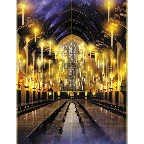 Harry Potter S/Setter 2PC Harry Potter S/Setter 2PC