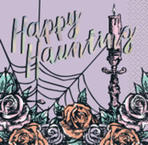 16 IRDSCNT HAUNTG BEV NAP-FSI