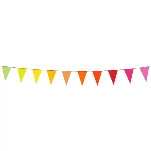 Rainbow Pennant Bunting