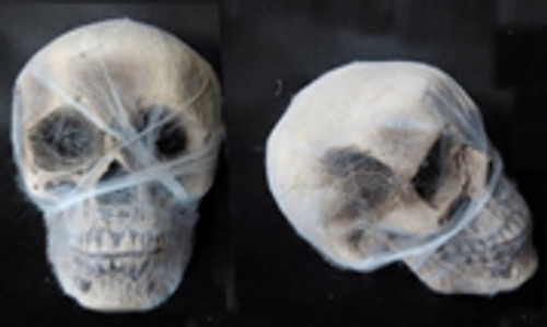 COBWEB WRAPPED SKULL 15 x 21cm COBWEB WRAPPED SKULL 15 x 21cm