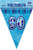 GLITZ BLUE FLAG BANNER - 90