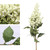 MINI WHITE BERRIES SPRAY W/LEAVES 61CM