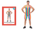 Adult Rainbow Stripe Unitard (Short)