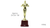 Oscars Award (L)