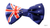Australian Bow Tie