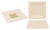 ECO Biodegradable Square Plate 26CM x 26CM (10") - 6PK