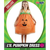 LÍL PUMPKIN DRESS