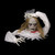 35CM RAISING HEAD DEAD BRIDE-ANIMATED & LIGHT UP (4XAA BATTERIES)