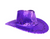 Deluxe Sequin Cowboy Hat (Purple)