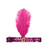 Sequin Flapper (S) (Hot Pink)