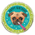 PUG PUPPY BD 18" FOIL BLN PKG