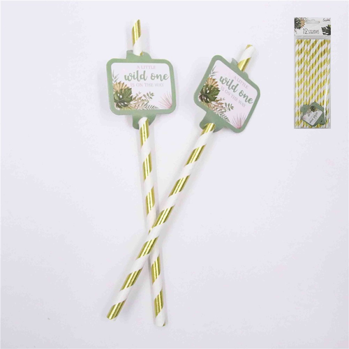 *12PK STRAWS WILD ONE Discount Party World