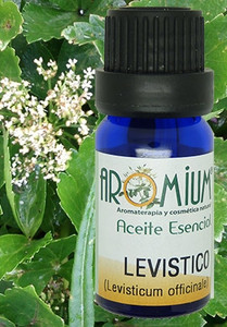 Aceite esencial levistico