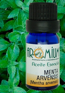 Aceite esencial Menta Arvensis Bio