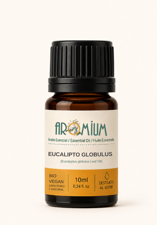 Eucalipto globulus Bio