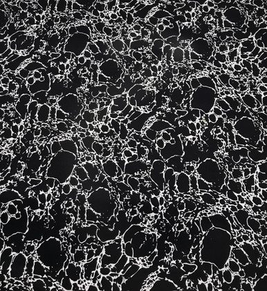 Darkest Navy/White Print Cotton Stretch Sateen