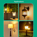 The bug bulb installed in 4 different locations. Entry lights, outdoor wall light, indoor lamp, outdoor path light. The bug bulb installed in 4 different locations. Entry lights, outdoor wall light, indoor lamp, outdoor path light.