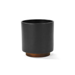 maximus ligula elit sit amet libero