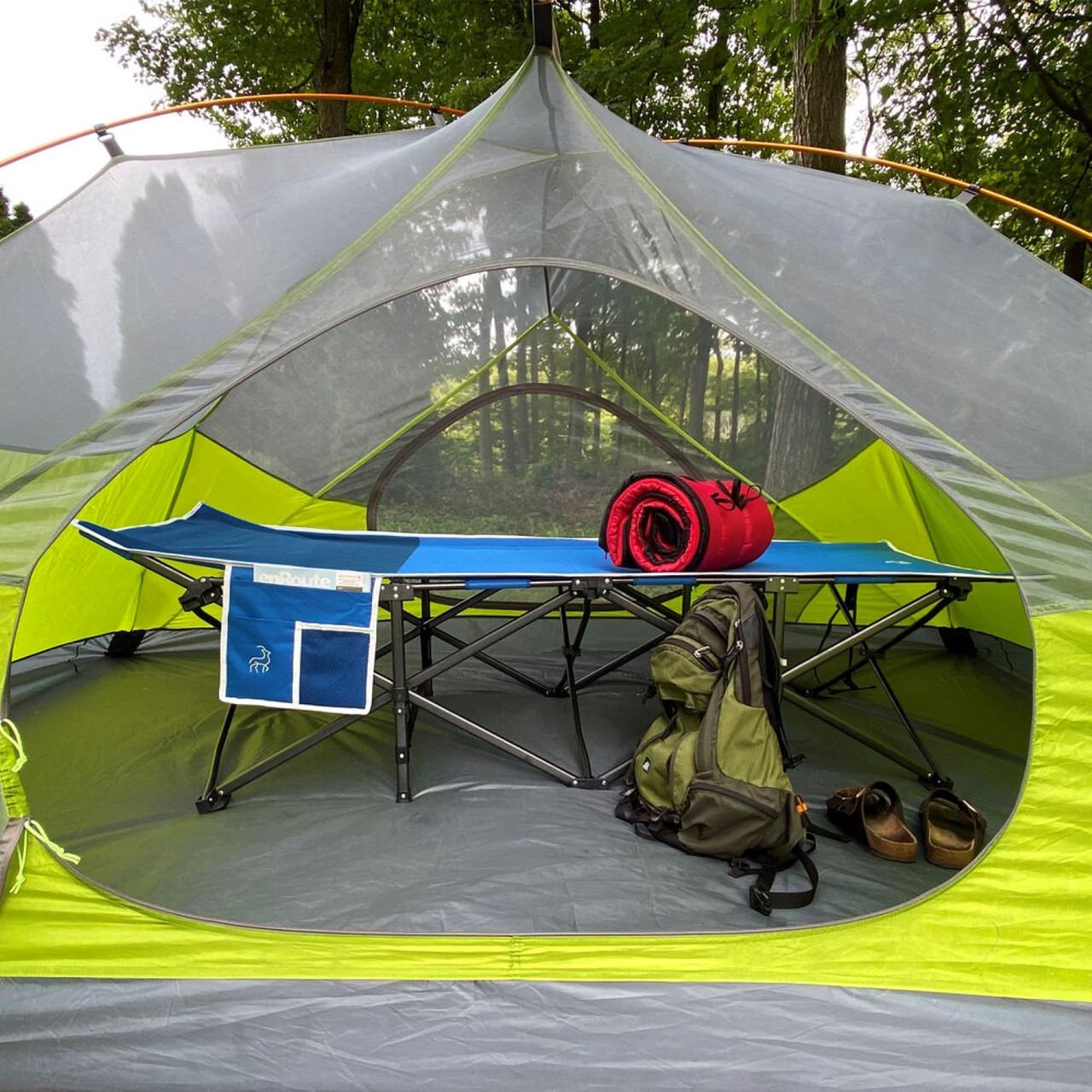 Hidden Wild XL Folding Camping Cot - 78.75