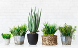 Garden Planters for Every Style