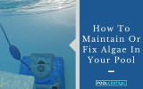 How To Maintain Or Fix Algae In Your Pool