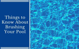 Things to Know About Brushing Your Pool
