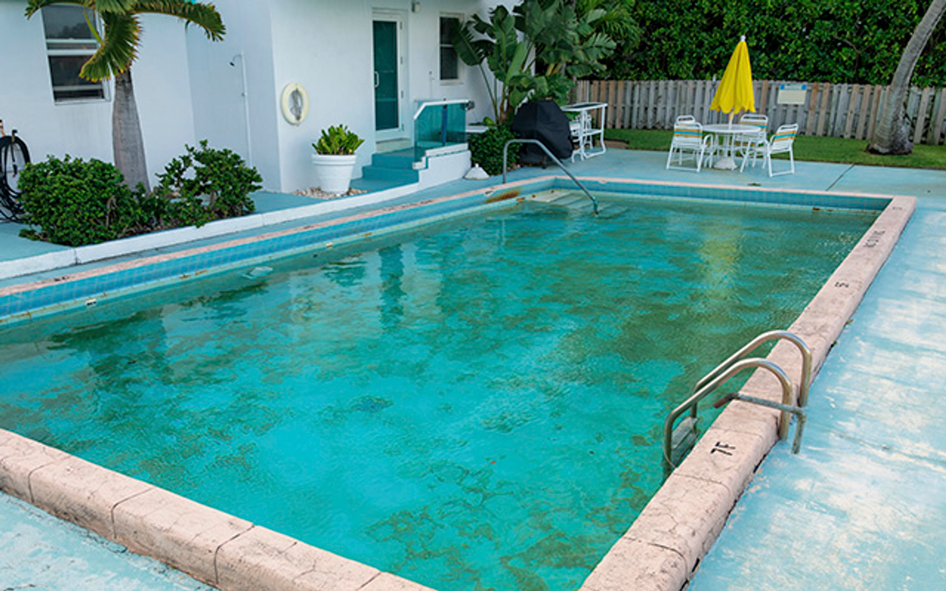 Why is My Pool Green? The Best Way to Get Rid of Algae in Your Pool