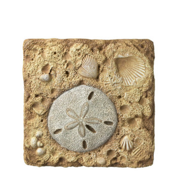 Pack of 6 Sand Dollar & Fossil Beach-Theme Decorative Garden Stepping