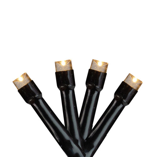 Battery Operated LED Christmas Lights - Warm White - 9.5' Black Wire - 20ct