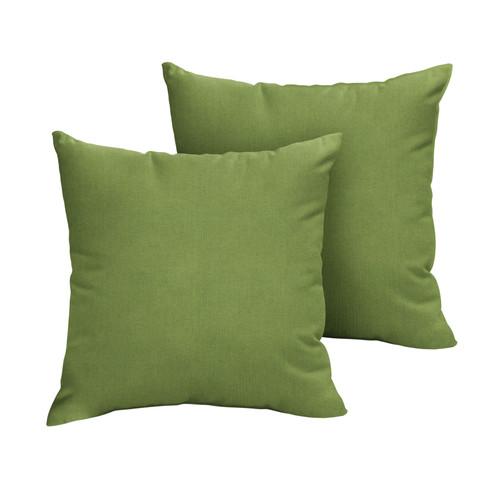 Set of 2 Sunbrella Spectrum Cilantro Outdoor Pillow, 18"