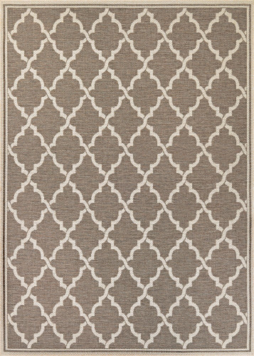 5.8' x 9.1' Brown and Ivory Moroccan Rectangular Outdoor Area Throw Rug