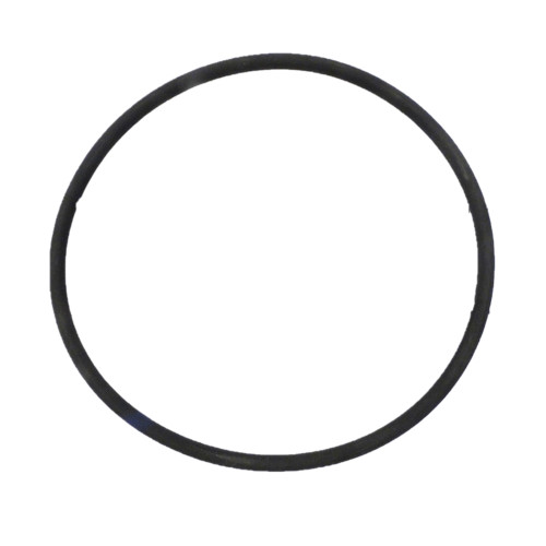 Black APC APCO2423 Lid O-Ring - Secure Seal for a Clean and Well-Assembled Pool