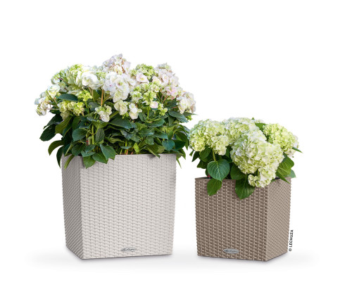 12" Sand Brown All In One Cube Wicker Planter