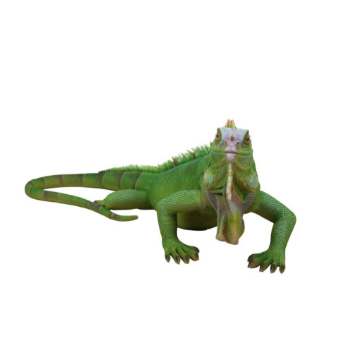 24.25" Green Iguana Lizard Outdoor Garden Statue