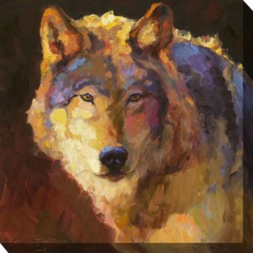 Brown and Yellow Amadeus Wolf Outdoor Canvas Square Wall Art Decor 24" x 24"