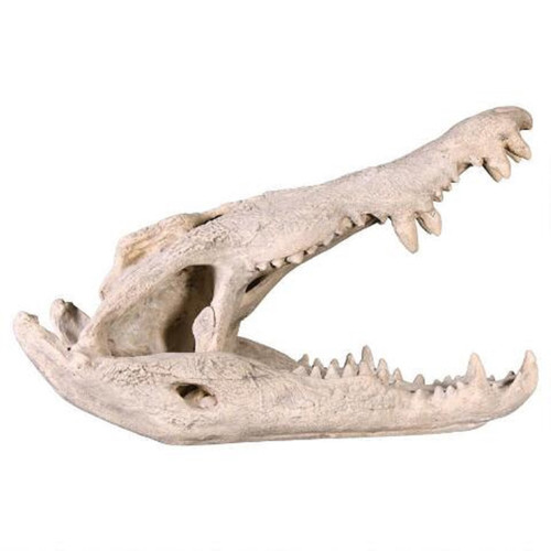 Impressive 28" Crocodile Skull Sculpture Outdoor Garden Statue