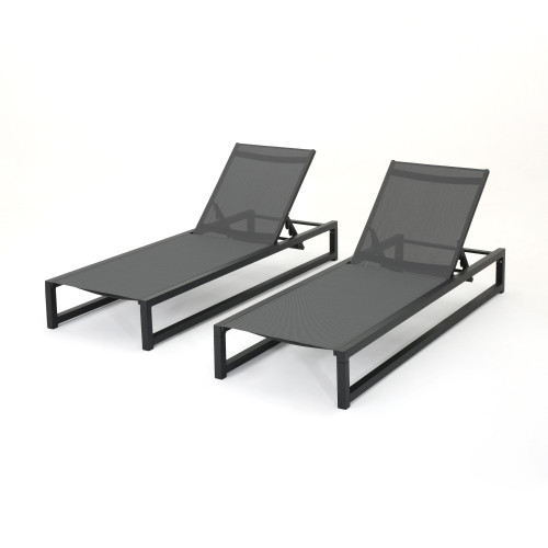 Modern 2-Piece Gray Mesh & Aluminum Patio Lounger Set for Ultimate Relaxation