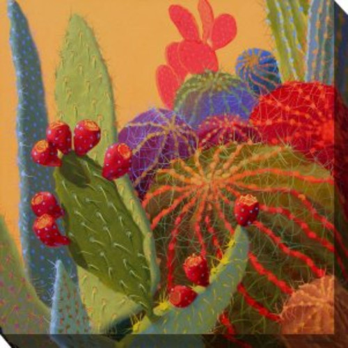 Vibrantly Colored Desert Jewels Outdoor Canvas Square Wall Art Decor 24" x 24"