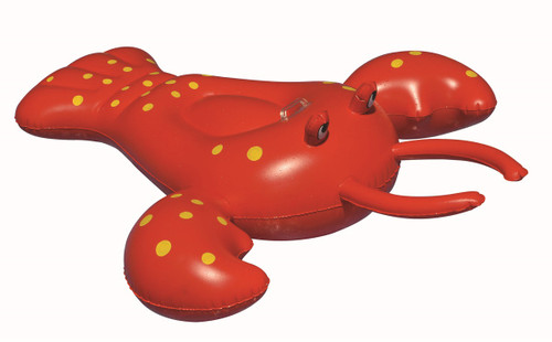 Red Pool Raft 65