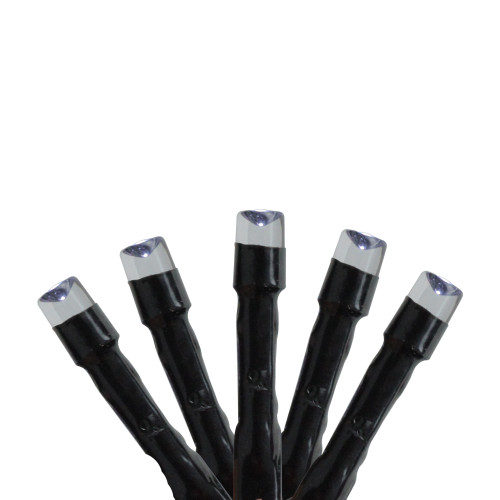 24 Cool White LED Battery Operated 8-Function Christmas Lights - 5.5 ft Black Wire