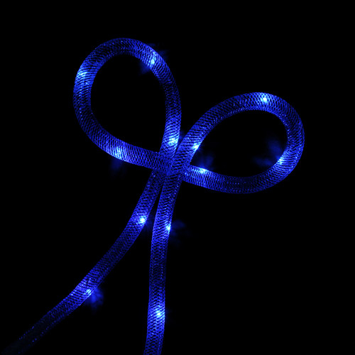 9.8' Blue LED Battery Operated Christmas Rope Lights with Blue Mesh Tube Lining