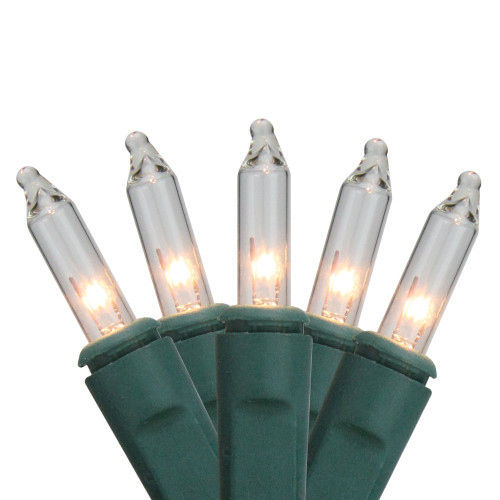 4' x 6' Clear Twinkling Mini Net Style Christmas Lights - Green Wire