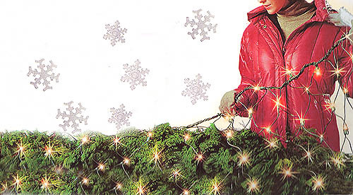 Set Of 150 Gold Net Style Christmas Lights 24 Square Feet