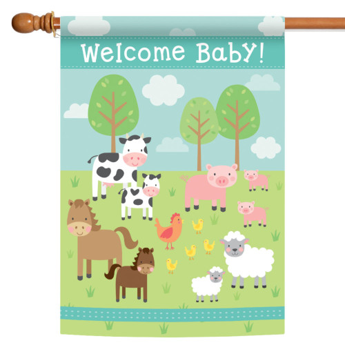 Blue and Green Welcome Baby Outdoor House Flag 40" x 28"