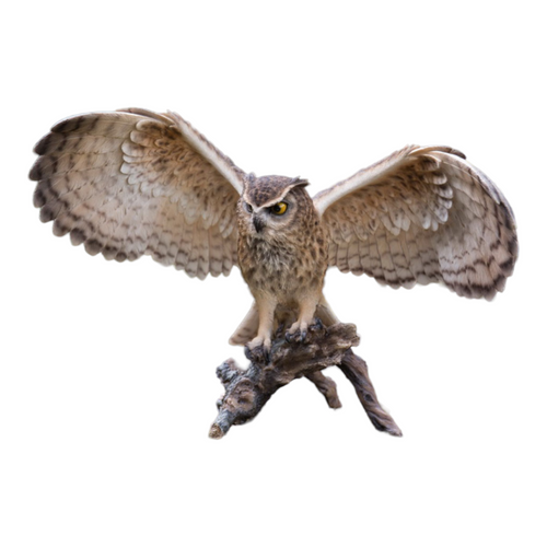 19" Brown and Black Eagle Owl on Branch Figurine