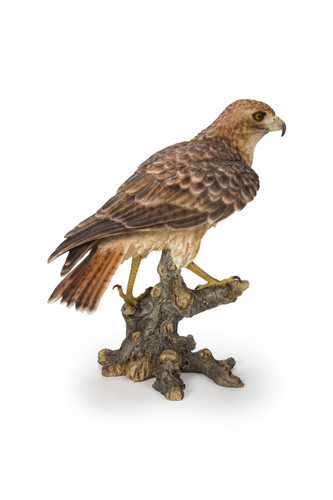 17.5" Brown Wild Hawk on Branch Outdoor Garden Statue