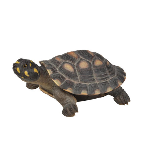 17.5" Spotted Turtle Outdoor Garden Statue