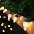 25ct Warm White LED C7 Christmas Lights - 16ft Green Wire