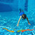 Set of 4 Vibrantly Colored Fun Moray Eel Diving Point Sticks Swimming Pool Toys 10''