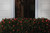 4' x 6' Red LED Wide Angle Net Style Christmas Lights - Green Wire